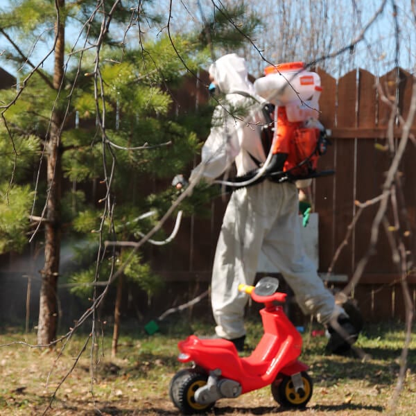 Обработка участка от клещей в Череповце?